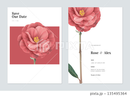 Floral wedding invitation card template design, red Semi-double Camellia flowers with leaves on white Floral wedding invitation card template design, red Semi-double Camellia flowers with leaves on white 135495364