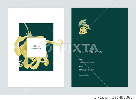 Floral wedding invitation card template design, cananga odorata flowers on dark green Floral wedding invitation card template design, cananga odorata flowers on dark green 135495366