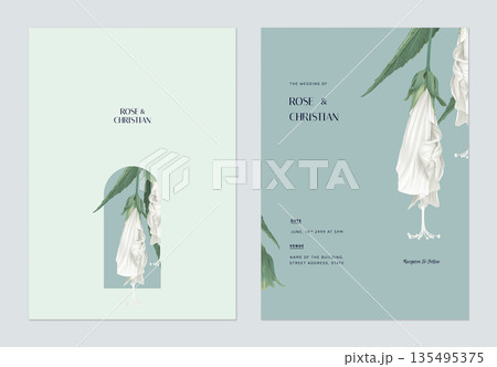 Floral wedding invitation card template design, white sleeping hibiscus flowers with leaves on blue 135495375