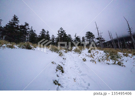 雪山の八ヶ岳、北横岳 135495406