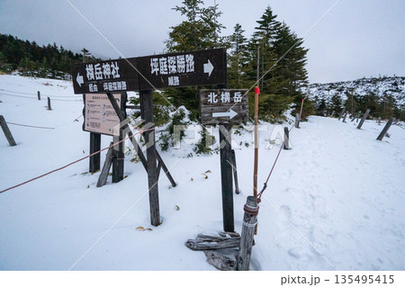 雪山の八ヶ岳、北横岳 135495415