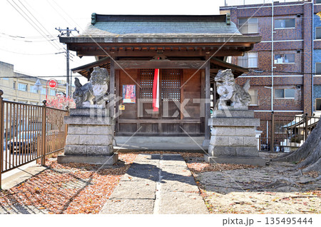 越谷散歩・中町浅間神社 社殿 越谷市中町 越谷散歩・中町浅間神社 社殿 越谷市中町 135495444