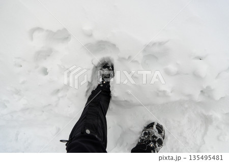 雪山の八ヶ岳、北横岳 135495481