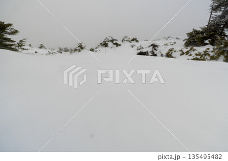 雪山の八ヶ岳、北横岳 135495482