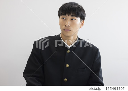 勉強する男子高校生 135495505