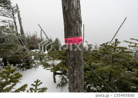 雪山の八ヶ岳、北横岳 雪山の八ヶ岳、北横岳 135495680
