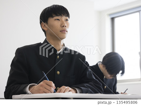勉強する男子学生 勉強する男子学生 135495806