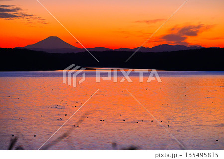 夕焼けに染まる富士山 狭山湖 湖畔からの眺め 夕焼けに染まる富士山 狭山湖 湖畔からの眺め 135495815