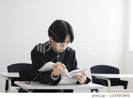勉強する男子高校生 勉強する男子高校生 135495846