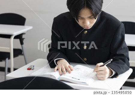 勉強する男子高校生 135495850