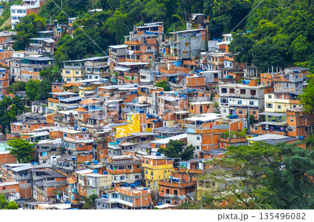 Mountains with favelas houses tropical nature Rio de Janeiro Brazil. 135496082