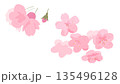 春を彩る桜の花と花びらのセット素材｜桜,花,花びら,つぼみ 135496128