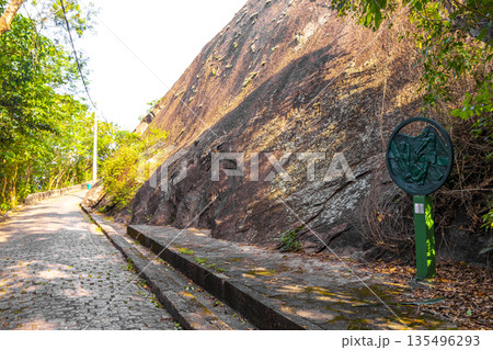 Walking path trail rainforest mountains in Rio de Janeiro Brazil. 135496293