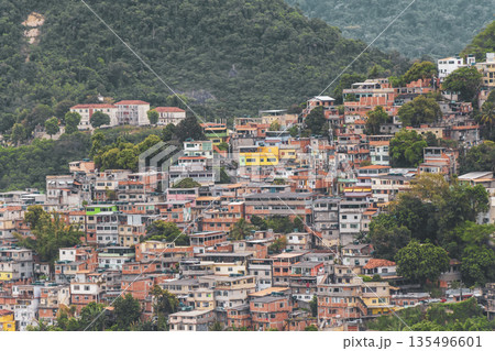 Mountains with favelas houses tropical nature Rio de Janeiro Brazil. 135496601