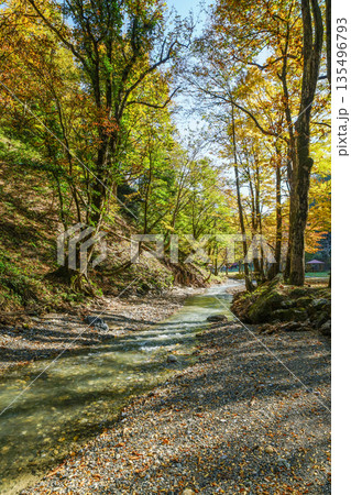 不動滝いこいの里 135496793