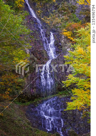 糸滝（糸魚川市） 135496794
