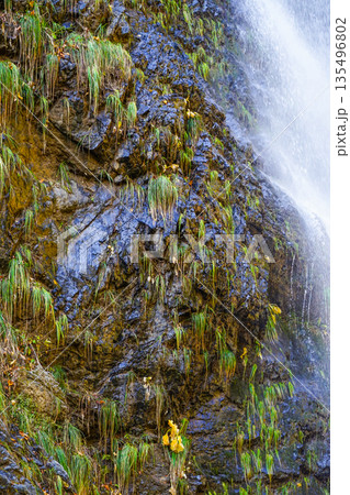 不動滝（糸魚川市） 135496802