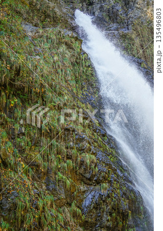 不動滝（糸魚川市） 135496803