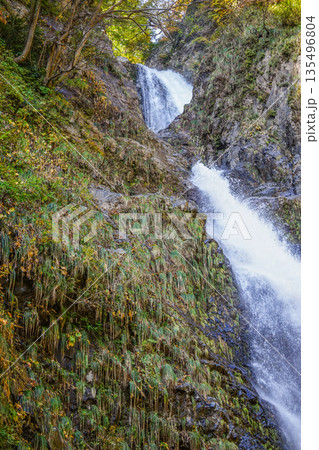 不動滝（糸魚川市） 135496804