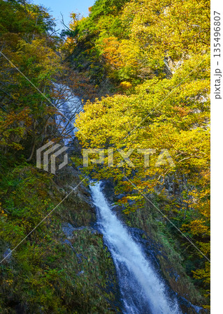 不動滝（糸魚川市） 135496807