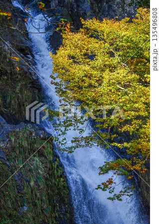 不動滝（糸魚川市） 135496808