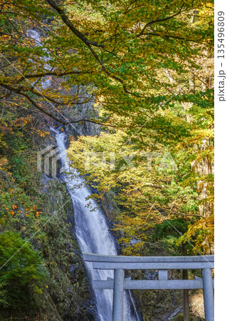 不動滝（糸魚川市） 135496809