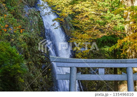 不動滝（糸魚川市） 135496810