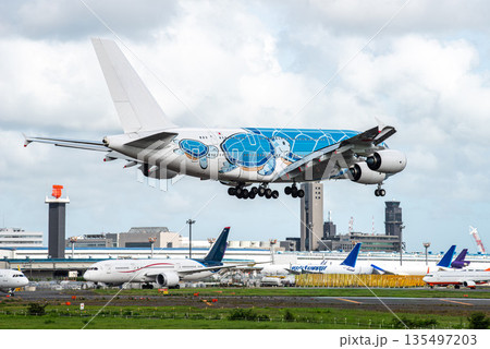 空港に着陸してくるフライングホヌ 135497203