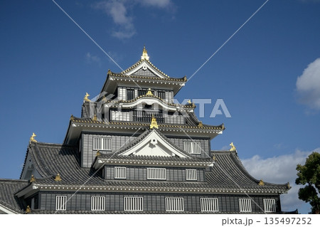 岡山城 金烏城 天守閣 135497252