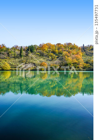 高浪の池（糸魚川市） 135497731