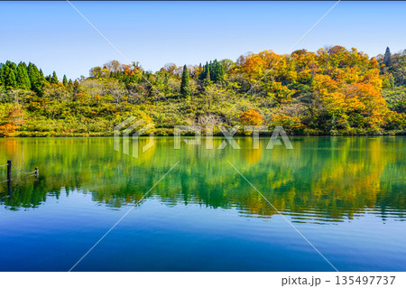 高浪の池(糸魚川市) 高浪の池(糸魚川市) 135497737