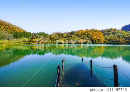 高浪の池(糸魚川市) 高浪の池(糸魚川市) 135497740