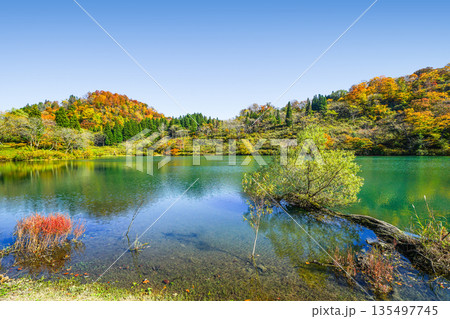 高浪の池(糸魚川市) 高浪の池(糸魚川市) 135497745