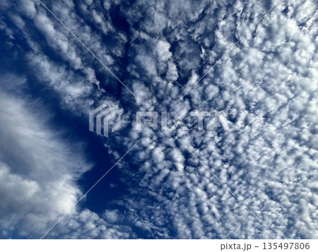 いわし雲 ☆mar_lapin いわし雲 ☆mar_lapin 135497806