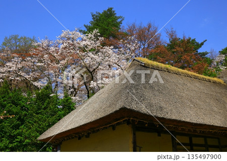 桜のある風景 桜のある風景 135497900