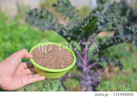 hand hold manure for using with organic plant in home planting 135498000