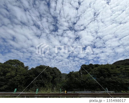 イワシ雲　☆mar_lapin 135498017