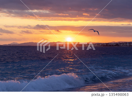French Riviera, the sunset of La Baie des Anges or Bay of Angels, moody sky and seagull fly away French Riviera, the sunset of La Baie des Anges or Bay of Angels, moody sky and seagull fly away 135498063