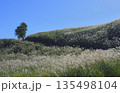 細野高原 135498104