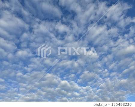 青空一面に広がる雲(たくさんの小さなカタマリ)/The sky 135498220