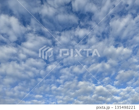 青空一面に広がる雲(たくさんの小さなカタマリ)/The sky 135498221