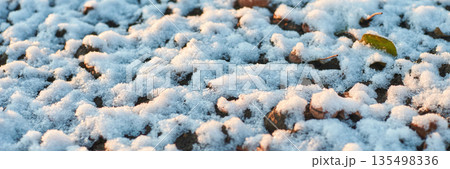 Early winter snow dusting over autumn leaves on a sunlit ground 135498336