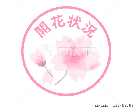 桜の開花状況を知らせるシンプルなアイコン 桜の開花状況を知らせるシンプルなアイコン 135498395