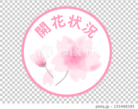 桜の開花状況を知らせるシンプルなアイコン 桜の開花状況を知らせるシンプルなアイコン 135498395