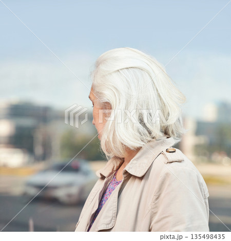Elderly asian female with white hair standing outdoors in urban setting Elderly asian female with white hair standing outdoors in urban setting 135498435