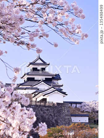 白河小峰城跡　桜 135498499