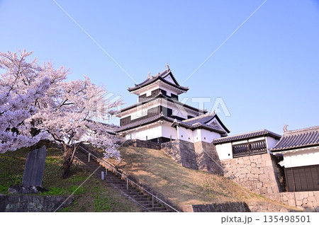 白河小峰城跡 桜 白河小峰城跡 桜 135498501