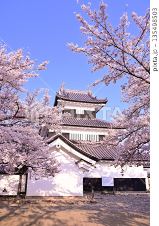 白河小峰城跡　桜 135498503