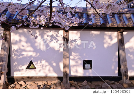 白河小峰城跡 桜 白河小峰城跡 桜 135498505