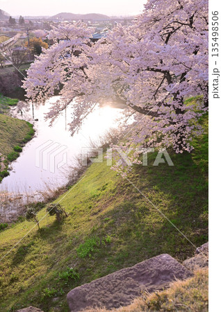 白河小峰城跡 桜 白河小峰城跡 桜 135498506